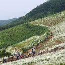 평창 육백마지기 차박 말고 더클라우드 글램핑 D3 후기 + 수영장, 개별 화장실