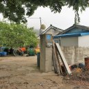 화원농협주유소 이미지