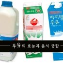 우유의 효는과 음식 궁합 이미지