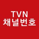 tvn 채널번호 전국 지역 총정리
