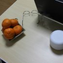 웅이네 농장 이미지