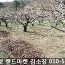 승도농장 네이버블로그
