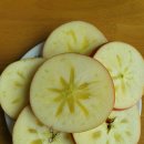 이현 1농장 이미지