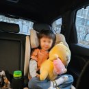 [주니어 카시트]맥스 아이진2 사용후기