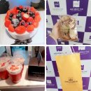 뉴욕바른라인치과의원 네이버블로그