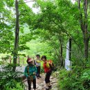 서울청송산악회 제(190차)오대산정기산행 이미지