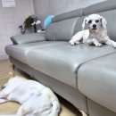 나름 질서가 있습니다^^ 이미지