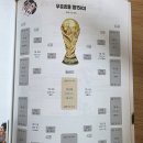 월드컵２００２년 | 일러스트로 보는 월드컵의 역사 서평 : 축구 얘기하다 밤샐 뻔했잖아요(독서 기록 39)