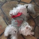 반포자이동물병원 이미지