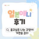 나는고양이 | 울고싶은 나는 고양이 가면을 쓴다 후기 | 현실과 판타지를 넘나드는 감성 애니메이션