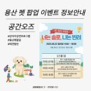 KGC라이프앤진 | [너는 솔로, 나는 반려] 용산 펫 팝업 이벤트 안내