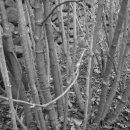 덕산농장 이미지