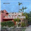 칼튼호텔 | 테네리페 여행 스페인 신혼여행지 5성급 호텔 더 리츠칼튼 아바마 투숙후기