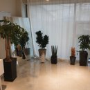 지에스(GS) 울산돋질로 이미지