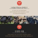 내돈내산: 그린팜 흑염소진액, 흑염소함량 성분 고르는팁 누린내 효능 부작용