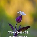 ☆기생 소백주 (18)♧ 이미지