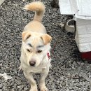 와플칸둔전점