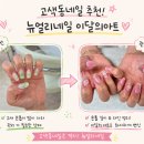 네일달빛 - 동구 대송로 141 | 고색동네일 추천, 수원24시네일 뉴얼리네일 이달의아트 후기