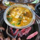 은행나무 갈매기 이미지