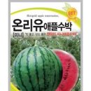 귀여워도 맛은좋아 애플수박 파종시기 심는시기 효능 수확시기 이미지