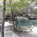 강천산 도라지골 이미지