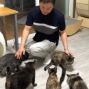 밥펫