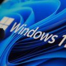 Skip the C 이미지