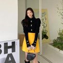홀릭캣 이미지