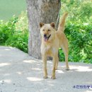 바르 이미지