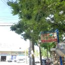 삼우그린 이미지