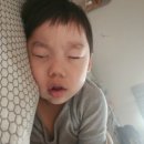 감람화원