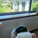 순애의집 이미지