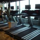 곰체육관 이미지