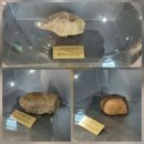 삼천리농장 | [안동 가볼만한곳] 선사시대의 역사를 배울 수 있고, 망천절벽(輞川絶壁) 절경을 감상할 수 있는 마애...