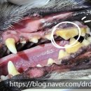 해운대조은동물병원 이미지