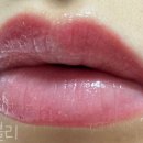 미미블리