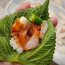 정자참가자미 이미지