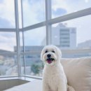 사림동253 이미지