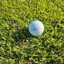 엘리시안 제주 골프연습장 | 가을 엘리시안 제주cc 세인트나인 골프공 라운드 후기