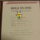 hole in one 이미지