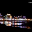 달맞이밤 이미지