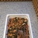 쌈마니고깃집 - 안산시 단원구 광덕3로 145-17 | 쌈마니고깃집