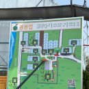 귤바테 | [체험/카페] 제주 귤따기 체험 | 봉봉감귤체험농장 (내돈내산)
