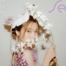 웁시(oopsy)
