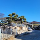 월지향 | [경주] 월지향 후기