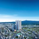 벨라시티 이미지