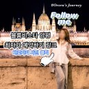 다뉴브호텔 | [공지] 부다페스트 호텔 추천 노보텔 다뉴브 후기 국회의사당 코앞 위치 시티뷰 객실 솔직숙박기