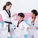 가동태권도 이미지