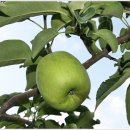 흥안농장 이미지