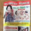 진생닥터 이미지